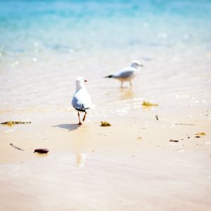 ©pb_20111011-IMG_0253