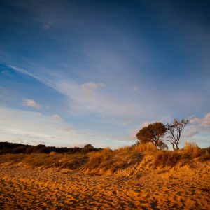 ©pb_20111011-IMG_0500