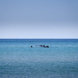 ©pb_20111017-IMG_0959