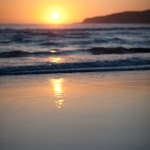 ©pb_20111019-IMG_0992