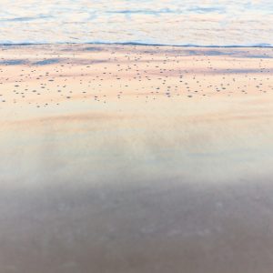 ©pb_Apollo_Bay_2017_0J9A5308