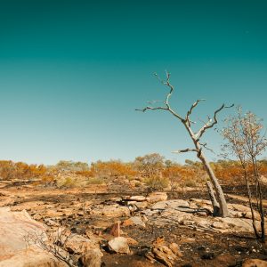 Karijini