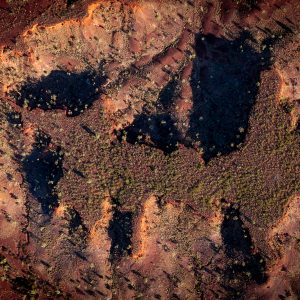 Warlpiri